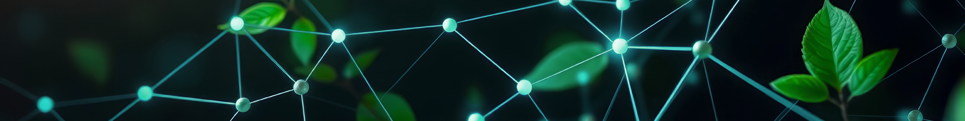 ESG HIDDEN GOVERNANCE RISK